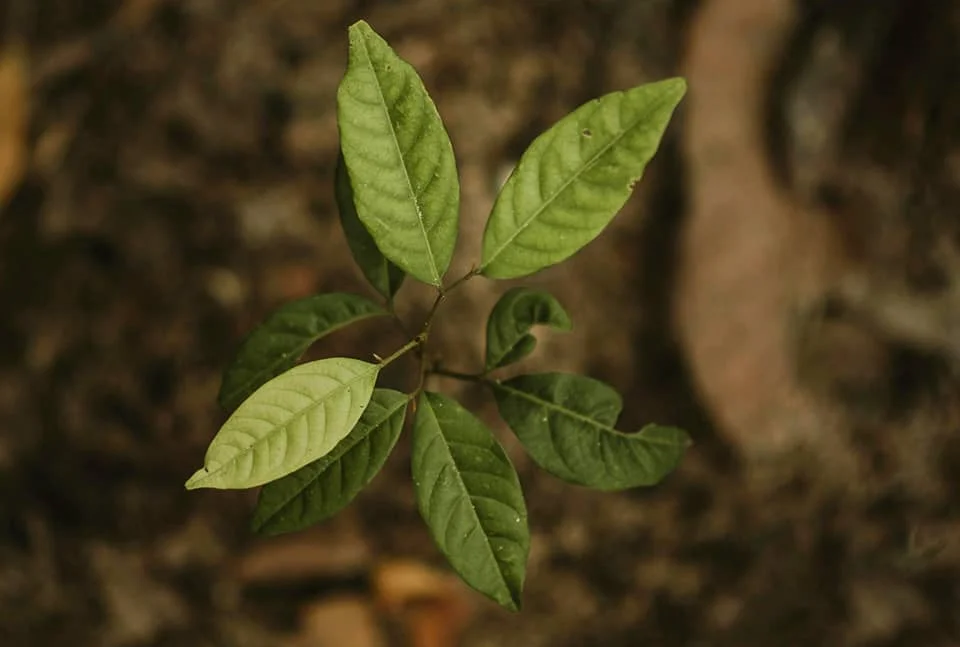 Social Responsibility