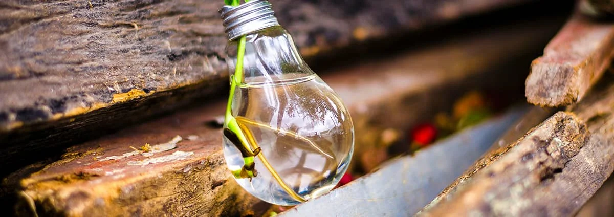 Technological Innovation